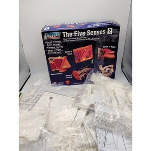 LINDBERG SCIENCE KITS The Five Senses Touch Smell Hearing Sight Taste MODEL KIT